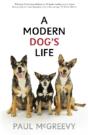 Modern Dog'S Life - Preview