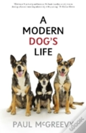 Capa do artigo Modern Dog