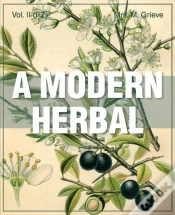 Capa do artigo Modern Herbal Vol 2