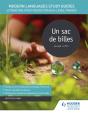 Modern Languages Study Guides: Un Sac De Billes - Preview