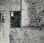 Capa do artigo Modern Malaise - Vinil