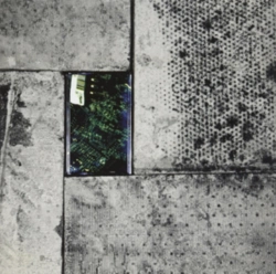 Capa do artigo Modern Malaise - Vinil