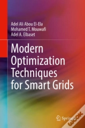 Modern Optimization Techniques For Smart Grids