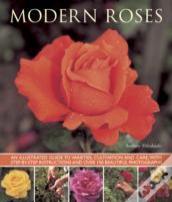 Modern Roses