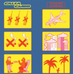 Capa do artigo Modo Aviao - Vinil