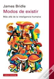 Capa do artigo Modos De Existir