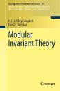 Modular Invariant Theory - Preview