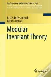 Capa do artigo Modular Invariant Theory
