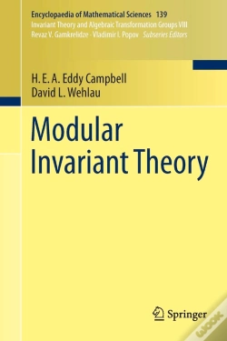 Capa do artigo Modular Invariant Theory