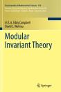 Modular Invariant Theory - Preview