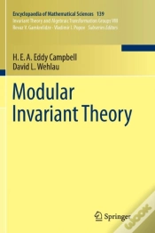 Capa do artigo Modular Invariant Theory