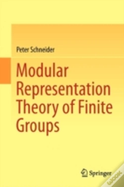 Capa do artigo Modular Representation Theory Of Finite Groups