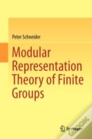 Modular Representation Theory Of Finite Groups