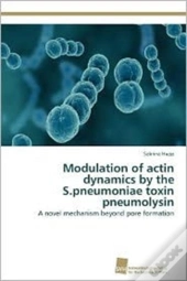 Modulation Of Actin Dynamics By The S.Pneumoniae Toxin Pneumolysin