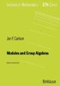Modules And Algebras - Preview