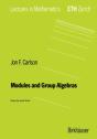 Modules And Group Algebras - Preview