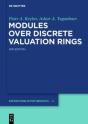 Modules Over Discrete Valuation Rings - Preview