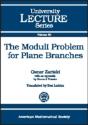 Moduli Problem For Plane Branches - Preview