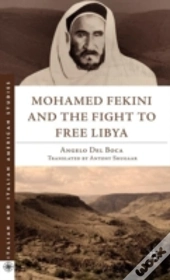 Mohamed Fekini And The Fight To Free Libya