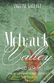 Capa do artigo Mohawk Valley
