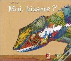 Capa do artigo Moi Bizarre ?