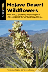 Mojave Desert Wildflowers