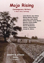 Capa do artigo Mojo Rising (Vol. 2)