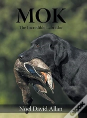 Capa do artigo Mok