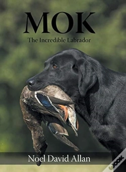 Capa do artigo Mok