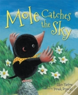 Capa do artigo Mole Catches The Sky