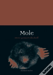 Capa do artigo Mole