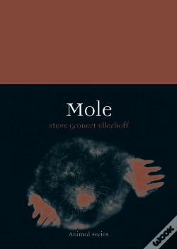 Capa do artigo Mole