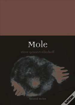 Capa do artigo Mole
