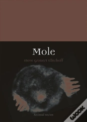 Capa do artigo Mole