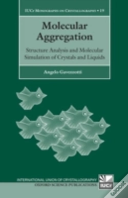 Capa do artigo Molecular Aggregation