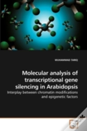 Capa do artigo Molecular Analysis Of Transcriptional Ge