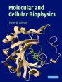 Molecular And Cellular Biophysics - Preview
