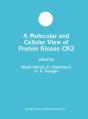 Molecular And Cellular View Of Protein Kinase Ck2 - Preview