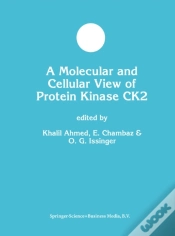 Capa do artigo Molecular And Cellular View Of Protein Kinase Ck2