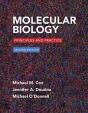 Molecular Biology - Preview