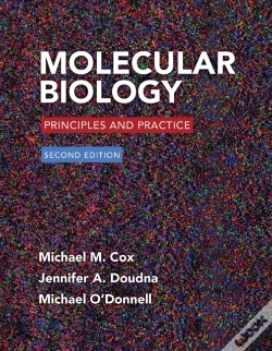 Capa do artigo Molecular Biology