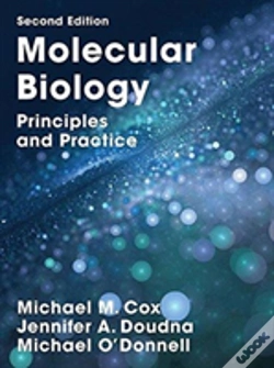 Capa do artigo Molecular Biology