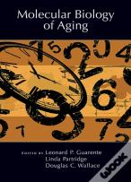 Molecular Biology Of Aging