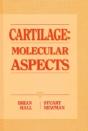 Molecular Biology Of Cartilage - Preview