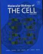 Molecular Biology Of The Cell - Preview
