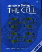 Molecular Biology Of The Cell