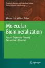 Molecular Biomineralization - Preview