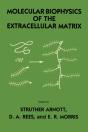 Molecular Biophysics Of The Extracellular Matrix - Preview