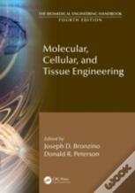 Molecular, Cellular, And Tissue Engineering