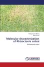 Molecular Characterization Of Rhizoctonia Solani - Preview